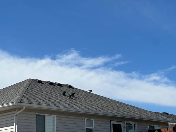 Asphalt Shingles Roofing in Prosper, TX